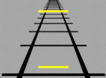 The Yellow lines are the same length. Click on the name at bottom of picture for an explanation.