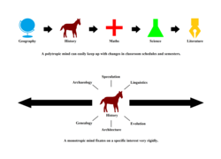 Monotropic and polytropic learning