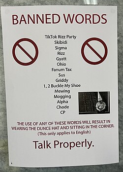 A poster with a list of words and phrases considered "brain rot". Below it states that "The use of any of these words will result in wearing the dunce hat and sitting in the corner. (This only applies to English). Talk properly."