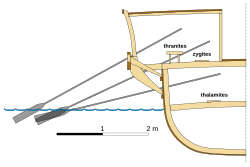 Drawing of a cross-section of a galley with oars of varying lengths at three different length. The oars are converging at roughly the same spot in the water.