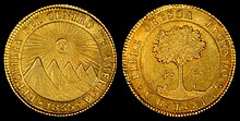 Front and back of a gold coin. One side has a tree, and the other side has five mountain peaks and a sun.