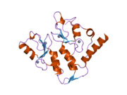 2h0d: Structure of a Bmi-1-Ring1B Polycomb group ubiquitin ligase complex