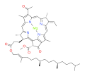 bacteriochlorophyll b