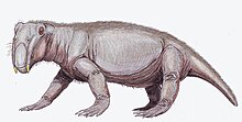 A pink/grey four-footed animal. The head is facing slightly toward you, and has two big teeth. It is covered in fur and has sharp claws.