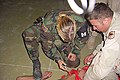 Image 1US Military Police officer restraining and sedating prisoner, while a soldier holds him down (from Political corruption)