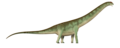 Argentinosaurus