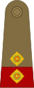 Lieutenant