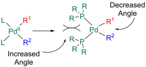 Cis-reductive elimination in the Stille reaction