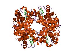 1ye0: T-To-T(High) quaternary transitions in human hemoglobin: betaV33A oxy (2MM IHP, 20% PEG) (1 test set)