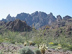 Kofa Mountains