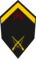 Sergent (Senegalese Army)
