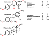 Polyphenols include phytoestrogens (top and middle), mimics of animal estrogen (bottom).[86]