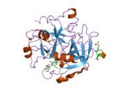 1ypj: Thrombin Inhibitor Complex