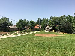 Houses in the village