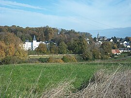 A general view of Lavardin, with the chateau