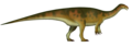 Plateosaurus