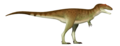 Asiatyrannus