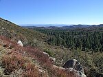 Cleveland National Forest near Mount Laguna.