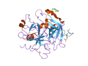 1twx: Crystal structure of the thrombin mutant D221A/D222K