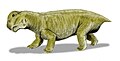 Lystrosaurus was a widespread dicynodont and the most common land vertebrate during the Early Triassic, after animal life had been greatly diminished