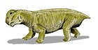 Lystrosaurus murrayi