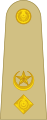 Pakistan Army Lieutenant Colonel