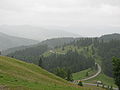 The Carpathian Mountains in Bukovina