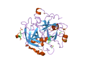 1way: ACTIVE SITE THROMBIN INHIBITORS