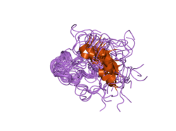 1z6w: Human Lactoferricin