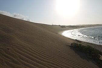 Taroa dunes east of Bahía Portete