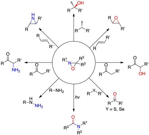 Oxaziridine Reactions