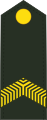 Korporaal (Royal Netherlands Army)[53]