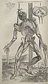 Image 51Vesalius's intricately detailed drawings of human dissections in Fabrica helped to overturn the medical theories of Galen. (from Scientific Revolution)