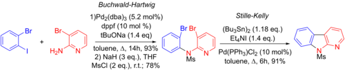 Synthesis of benzo[4,5]furopyridines