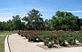 Benalla Botanic Gardens, Victoria, Australia 2006