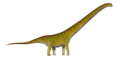 Mamenchisaurus