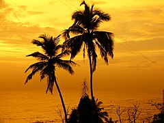 Sunset at bandstand