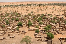 Environmental migration. Sparser rainfall leads to desertification that harms agriculture and can displace populations. Shown: Telly, Mali (2008).[265]