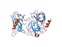 PDB 1l4z EBI.jpg