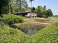 Temple tank