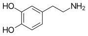 Dopamine, derived from the amino acid tyrosine, an adhesive used by mussels.[16]