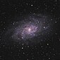 Triangulum Galaxy