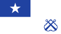 Coast Guard Ensign