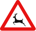 Deer