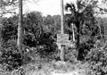 1929 Photo of Turtle Mound