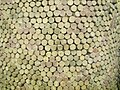 Detail of Reconstruction of a mosaic from the Eanna temple.