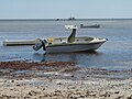 Local boats