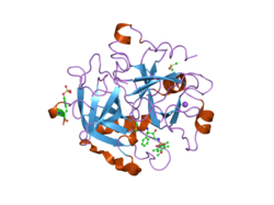2c93: THROMBIN INHIBITORS