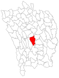 Location in Vaslui County