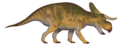 Nasutoceratops